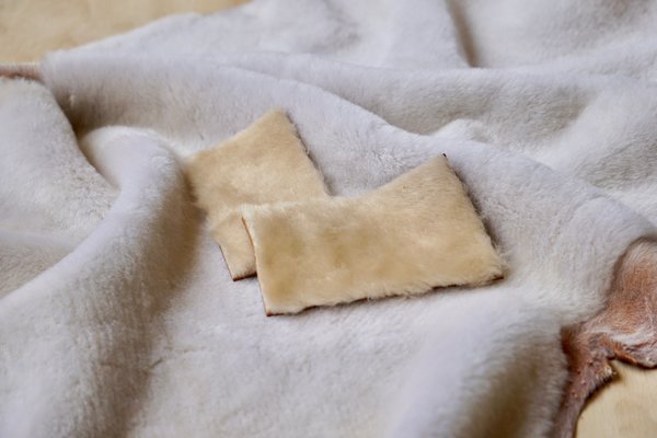 F&F Shearling Samples